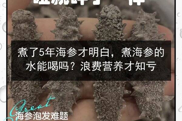 煮了5年海参才明白,煮海参的水能喝吗?浪费营养才知亏