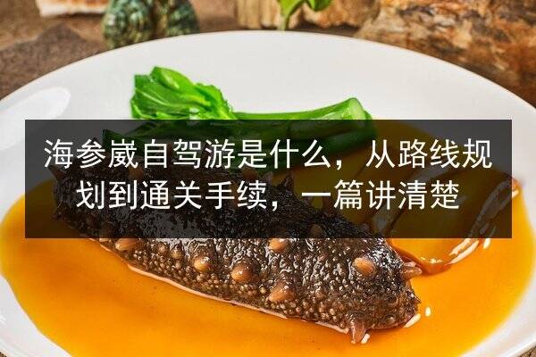 海参崴自驾游是什么,从路线规划到通关手续,一篇讲清楚