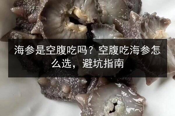海参是空腹吃吗?空腹吃海参怎么选,避坑指南