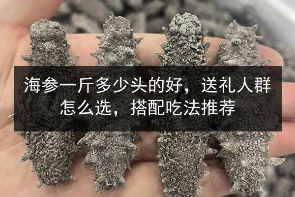 海参一斤多少头的好,送礼人群怎么选,搭配吃法推荐
