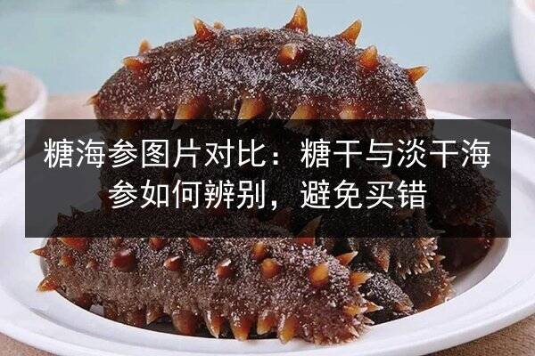 糖海参图片对比：糖干与淡干海参如何辨别，避免买错