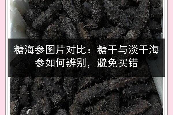 糖海参图片对比：糖干与淡干海参如何辨别，避免买错