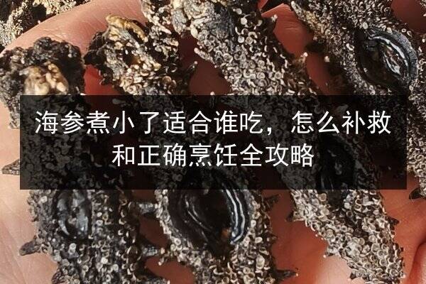 海参煮小了适合谁吃,怎么补救和正确烹饪全攻略