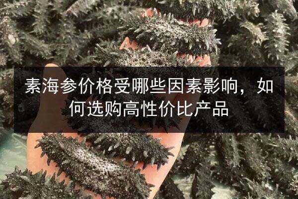 素海参价格受哪些因素影响,如何选购高性价比产品