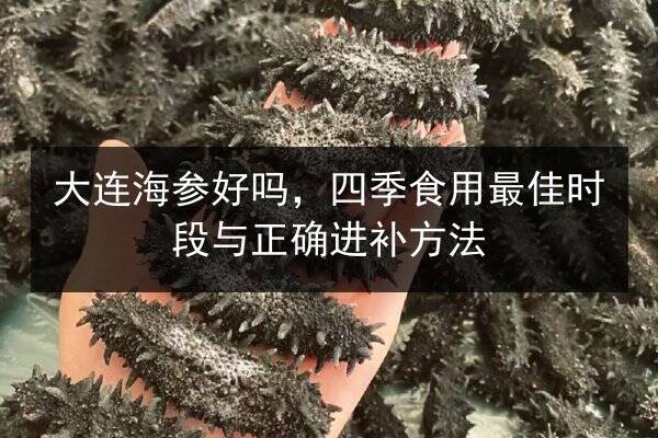 大连海参好吗,四季食用最佳时段与正确进补方法