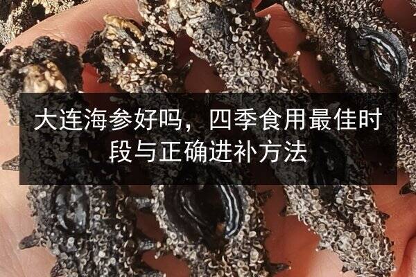 大连海参好吗,四季食用最佳时段与正确进补方法