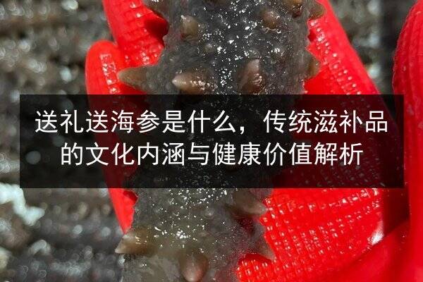 送礼送海参是什么，传统滋补品的文化内涵与健康价值解析