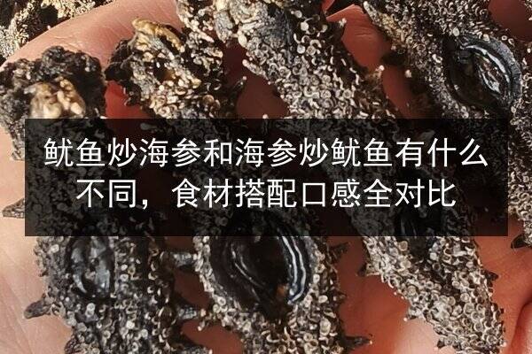 鱿鱼炒海参和海参炒鱿鱼有什么不同,食材搭配口感全对比