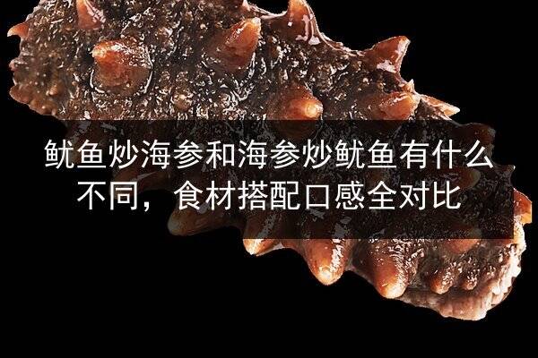 鱿鱼炒海参和海参炒鱿鱼有什么不同,食材搭配口感全对比