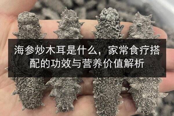 海参炒木耳是什么,家常食疗搭配的功效与营养价值解析