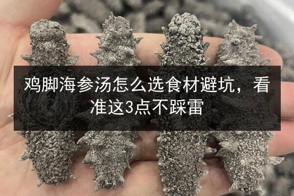 鸡脚海参汤怎么选食材避坑,看准这3点不踩雷