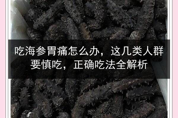 吃海参胃痛怎么办,这几类人群要慎吃,正确吃法全解析