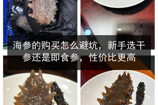 海参的购买怎么避坑，新手选干参还是即食参，性价比更高