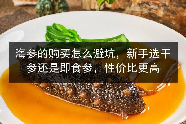 海参的购买怎么避坑，新手选干参还是即食参，性价比更高