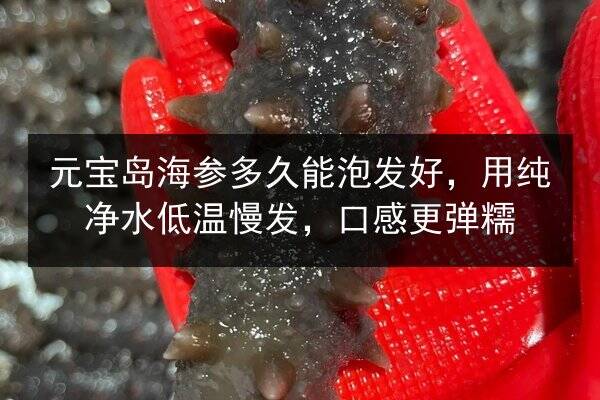 元宝岛海参多久能泡发好,用纯净水低温慢发,口感更弹糯