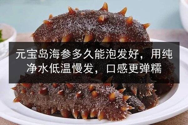 元宝岛海参多久能泡发好,用纯净水低温慢发,口感更弹糯