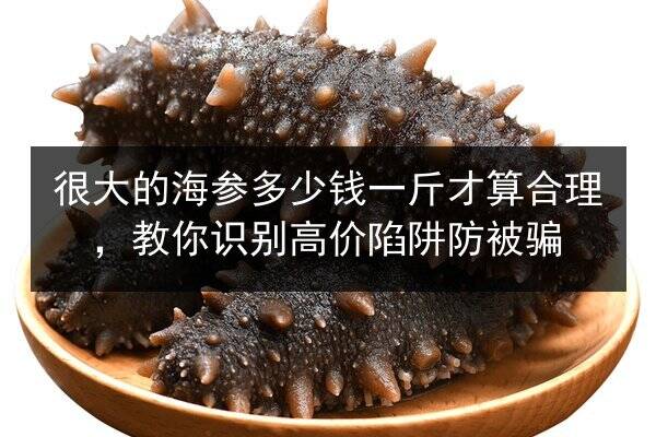 很大的海参多少钱一斤才算合理，教你识别高价陷阱防被骗