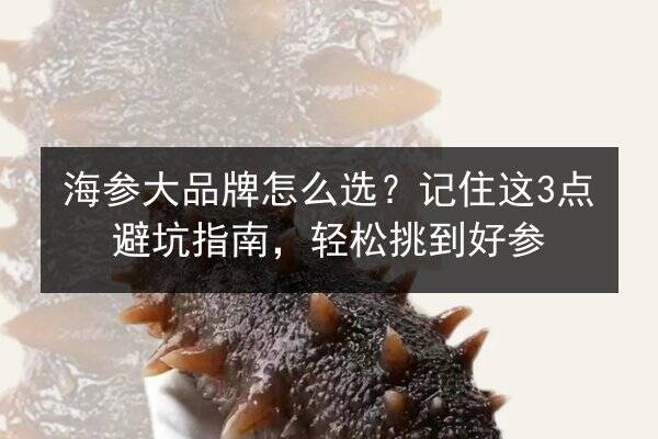 海参大品牌怎么选?记住这3点避坑指南,轻松挑到好参