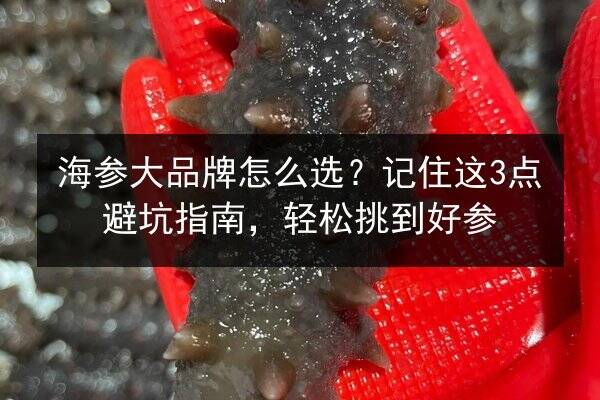海参大品牌怎么选?记住这3点避坑指南,轻松挑到好参