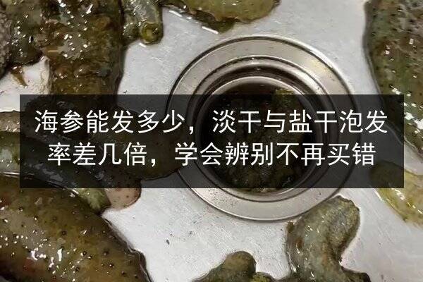 海参能发多少,淡干与盐干泡发率差几倍,学会辨别不再买错