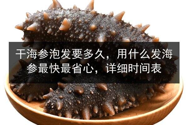 干海参泡发要多久，用什么发海参最快最省心，详细时间表