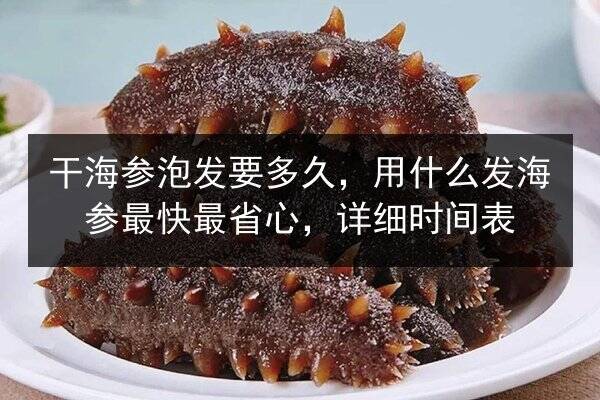 干海参泡发要多久，用什么发海参最快最省心，详细时间表
