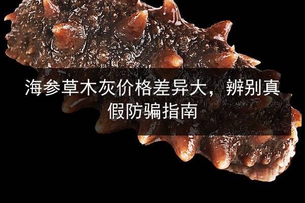 海参草木灰价格差异大，辨别真假防骗指南