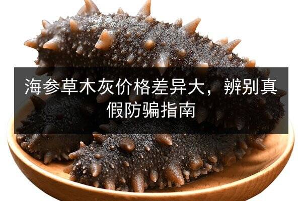 海参草木灰价格差异大，辨别真假防骗指南