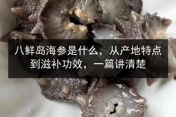 八鲜岛海参是什么,从产地特点到滋补功效,一篇讲清楚