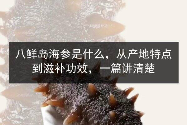 八鲜岛海参是什么,从产地特点到滋补功效,一篇讲清楚