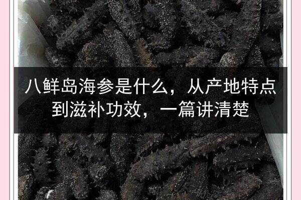八鲜岛海参是什么,从产地特点到滋补功效,一篇讲清楚