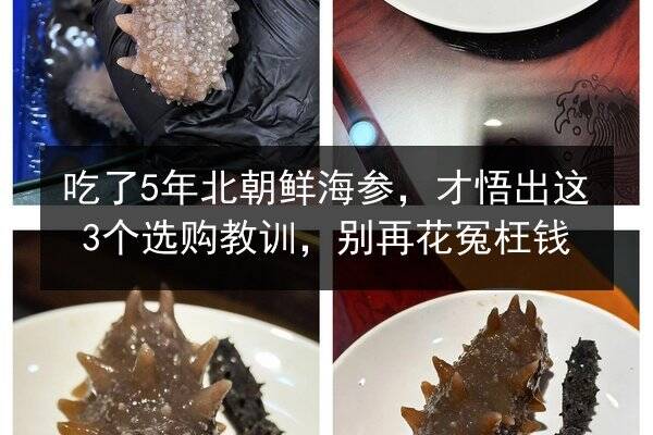 吃了5年北朝鲜海参,才悟出这3个选购教训,别再花冤枉钱