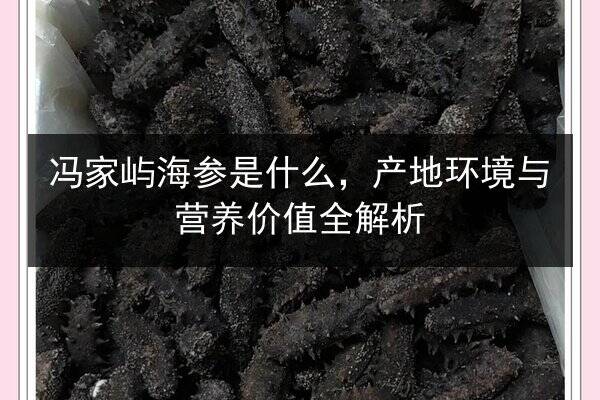 冯家屿海参是什么，产地环境与营养价值全解析