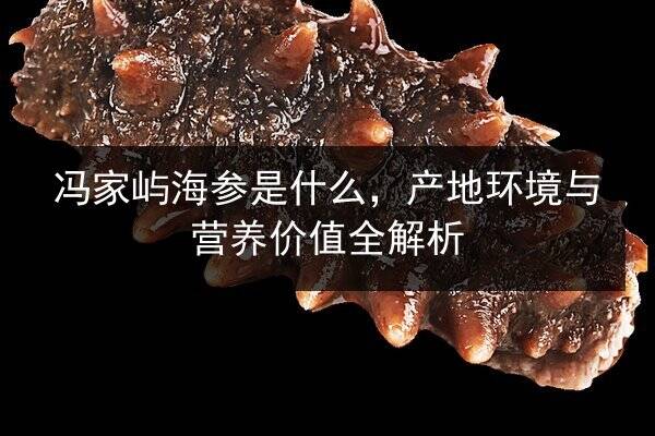 冯家屿海参是什么，产地环境与营养价值全解析