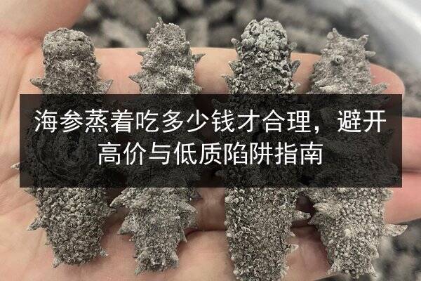 海参蒸着吃多少钱才合理，避开高价与低质陷阱指南