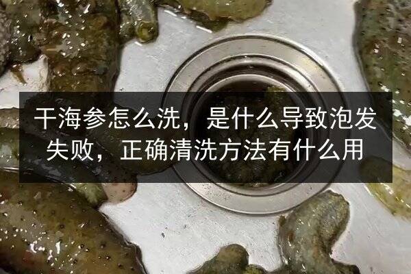 干海参怎么洗，是什么导致泡发失败，正确清洗方法有什么用