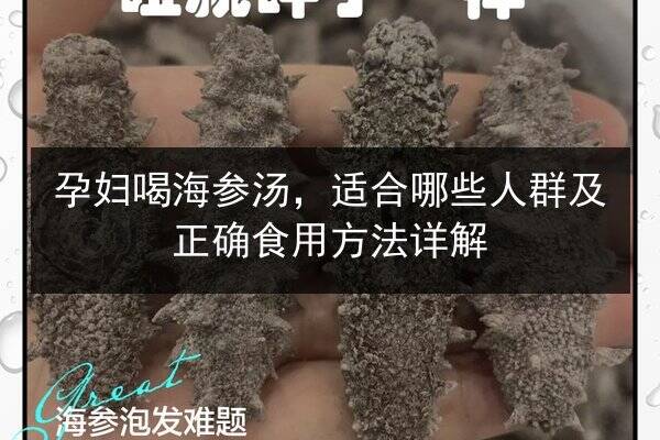 孕妇喝海参汤,适合哪些人群及正确食用方法详解