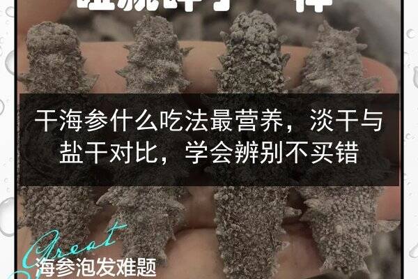 干海参什么吃法最营养,淡干与盐干对比,学会辨别不买错