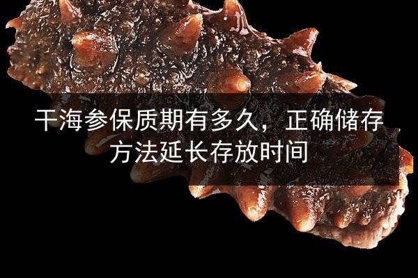 干海参保质期有多久,正确储存方法延长存放时间