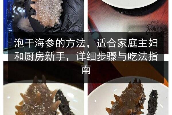 泡干海参的方法,适合家庭主妇和厨房新手,详细步骤与吃法指南