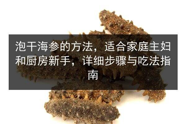 泡干海参的方法,适合家庭主妇和厨房新手,详细步骤与吃法指南