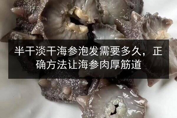 半干淡干海参泡发需要多久,正确方法让海参肉厚筋道