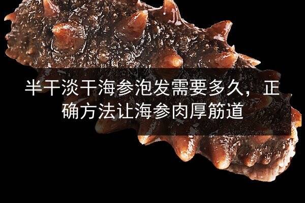 半干淡干海参泡发需要多久,正确方法让海参肉厚筋道