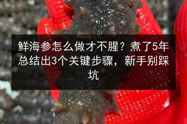 鲜海参怎么做才不腥?煮了5年总结出3个关键步骤,新手别踩坑