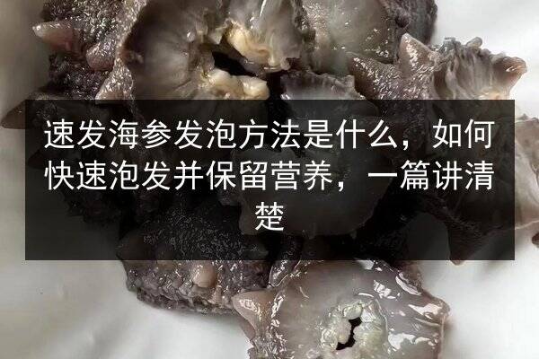 速发海参发泡方法是什么，如何快速泡发并保留营养，一篇讲清楚