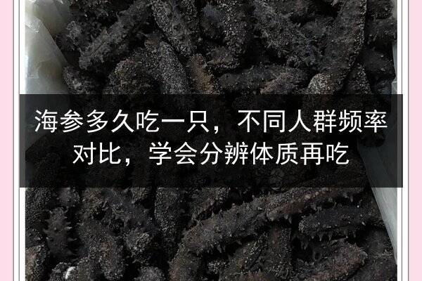 海参多久吃一只,不同人群频率对比,学会分辨体质再吃