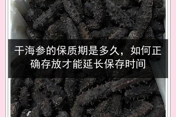 干海参的保质期是多久,如何正确存放才能延长保存时间