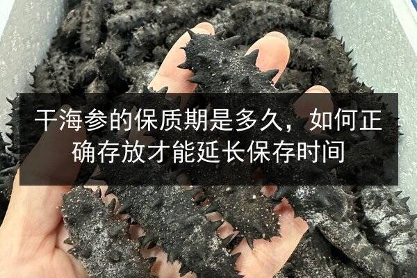 干海参的保质期是多久,如何正确存放才能延长保存时间