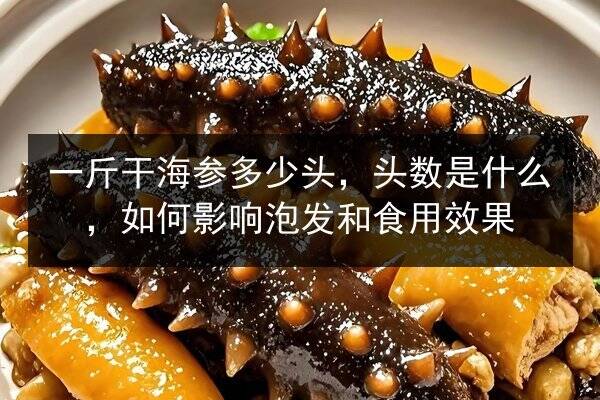 一斤干海参多少头,头数是什么,如何影响泡发和食用效果