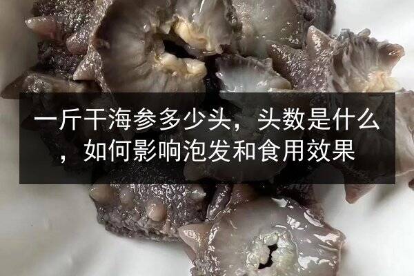 一斤干海参多少头,头数是什么,如何影响泡发和食用效果